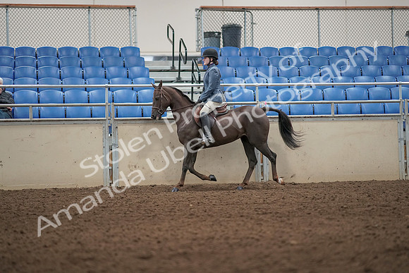2019 Morgan Horse Show - Aug 31, 2019 - 04906