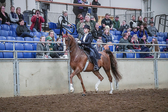 Spring Fling - Saturday - April 20, 2019  -  04373