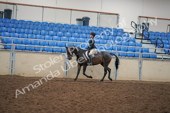 2019 Morgan Horse Show - Aug 30, 2019 - 12257