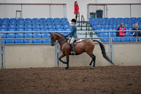 2019 Morgan Horse Show - Aug 31, 2019 - 17129