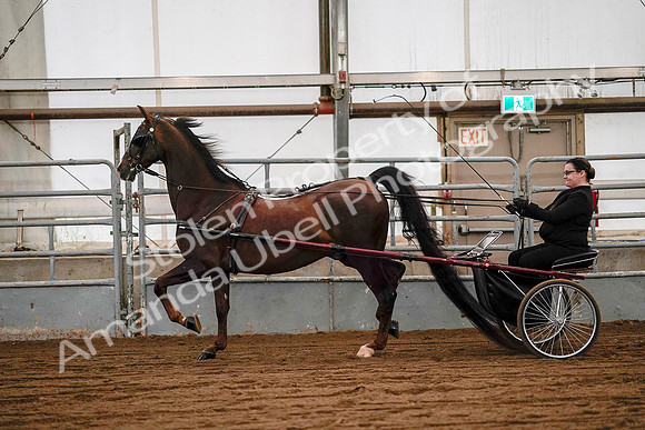 July 19, 2019 - 7051