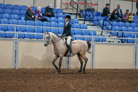 2020 - AB Morgan Horse - Sat, Sept 05 - 01186