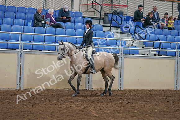 2020 - AB Morgan Horse - Sat, Sept 05 - 01186