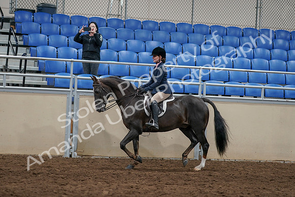 2020 - AB Morgan Horse - Sun, Sept 06 - 07749
