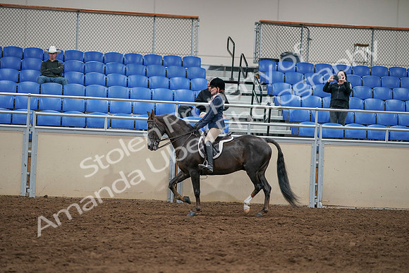 2020 - AB Morgan Horse - Sun, Sept 06 - 07758