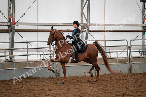 July 19, 2019 - 10300