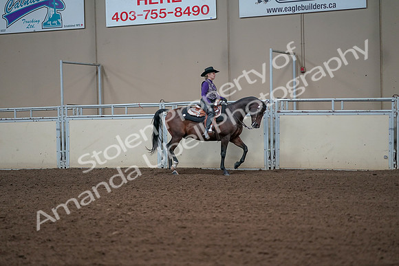 2019 Morgan Horse Show - Aug 31, 2019 - 10731
