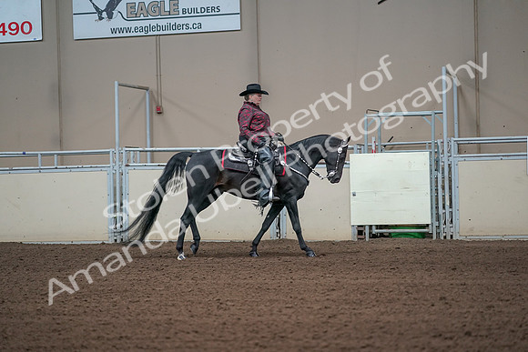 2019 Morgan Horse Show - Aug 31, 2019 - 10723