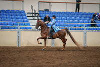 2020 - AB Morgan Horse - Sat, Sept 05 - 03315