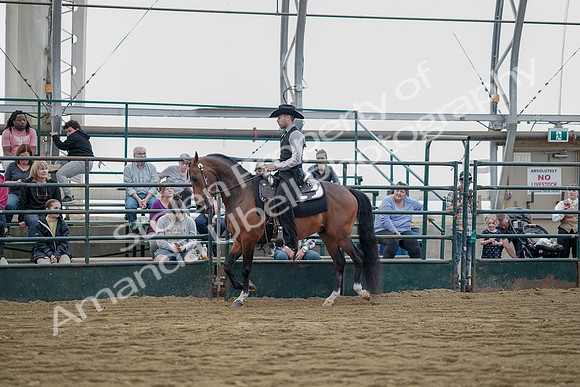 July 21, 2019 - 06566