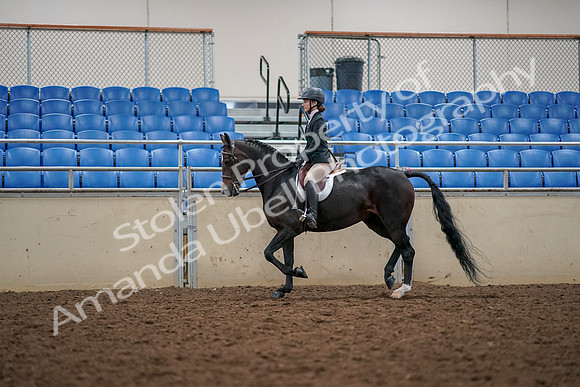 2019 Morgan Horse Show - Aug 30, 2019 - 23307