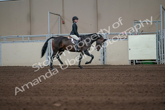 2019 Morgan Horse Show - Sept 01, 2019 - 03854