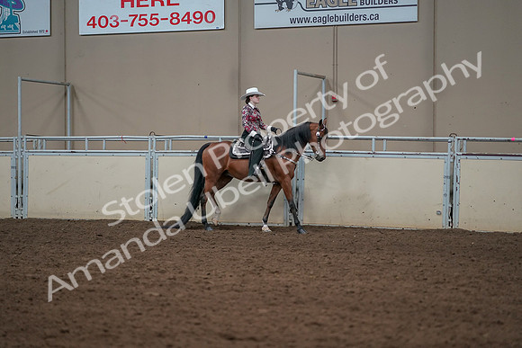 2019 Morgan Horse Show - Aug 30, 2019 - 26147
