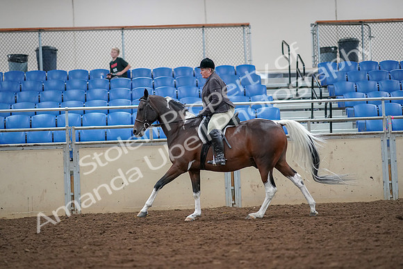 2019 Morgan Horse Show - Aug 30, 2019 - 16347