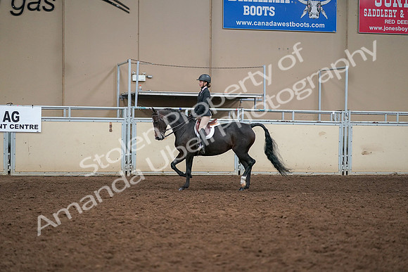 2019 Morgan Horse Show - Aug 30, 2019 - 12197