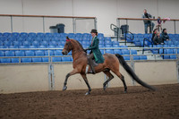2019 Morgan Horse Show - Aug 30, 2019 - 27871