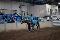 2019 Morgan Horse Show - Aug 31, 2019 - 09925