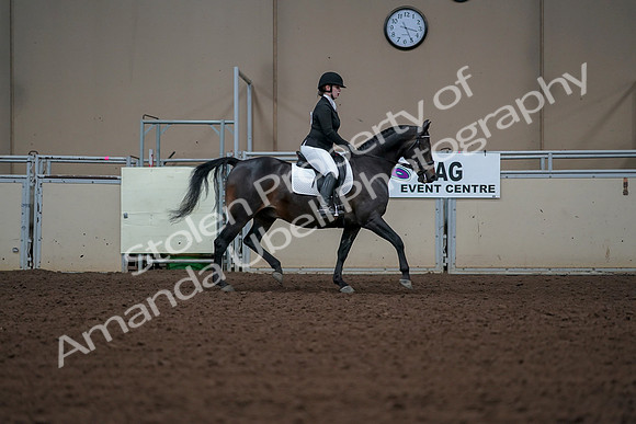 2019 Morgan Horse Show - Aug 30, 2019 - 18546