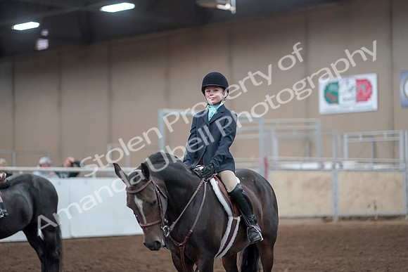 2019 Morgan Horse Show - Aug 31, 2019 - 19716