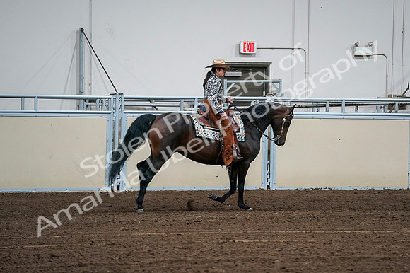 2020 - AB Morgan Horse - Fri, Sept 04 - 00425