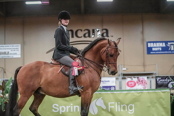 Spring Fling - Saturday - April 20, 2019  -  03859