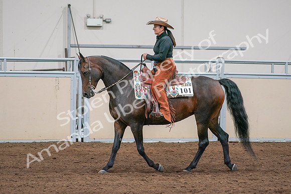 2020 - AB Morgan Horse - Sun, Sept 06 - 01568