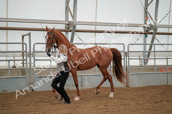July 19, 2019 - 1342