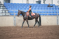 2019 Morgan Horse Show - Sept 01, 2019 - 05732