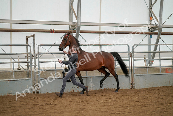 July 19, 2019 - 1253