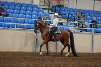 2020 - AB Morgan Horse - Sun, Sept 06 - 07466