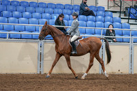 2020 - AB Morgan Horse - Sat, Sept 05 - 02612