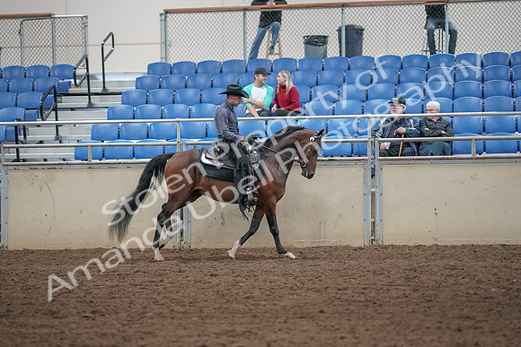 2019 Morgan Horse Show - Aug 31, 2019 - 06144