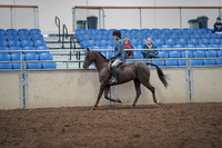 2019 Morgan Horse Show - Aug 31, 2019 - 16504