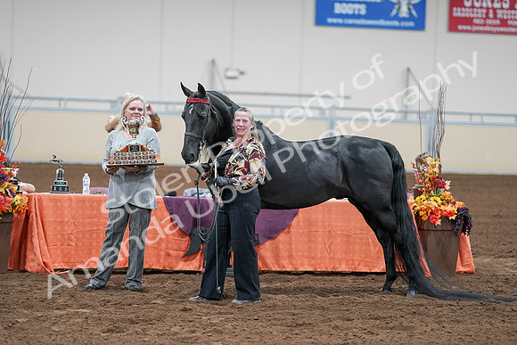 2020 - AB Morgan Horse - Sat, Sept 05 - 00124