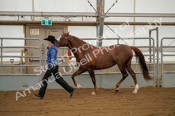 July 19, 2019 - 1294