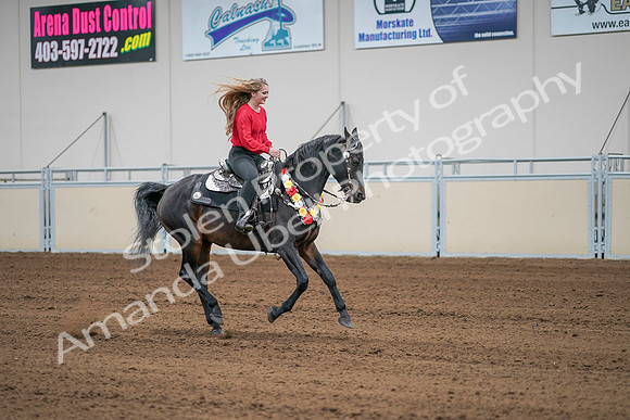 2020 - AB Morgan Horse - Sat, Sept 05 - 10550