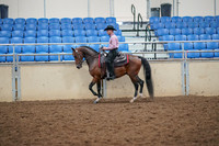 2019 Morgan Horse Show - Aug 30, 2019 - 22706