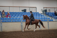 2019 Morgan Horse Show - Aug 30, 2019 - 26481