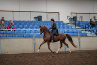2019 Morgan Horse Show - Aug 30, 2019 - 26480