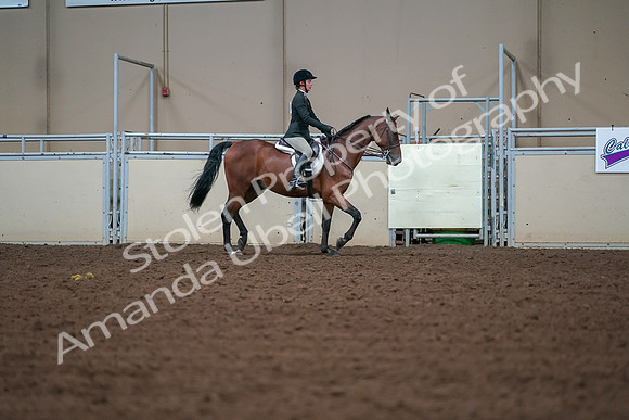 2019 Morgan Horse Show - Aug 30, 2019 - 20859