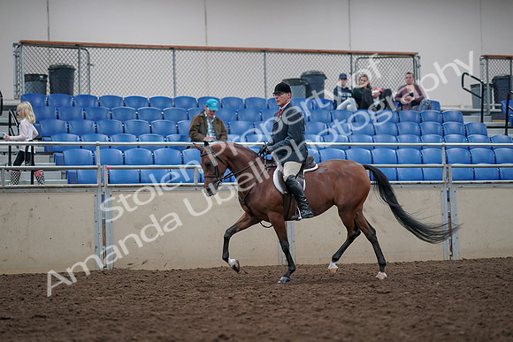 2019 Morgan Horse Show - Aug 31, 2019 - 14948