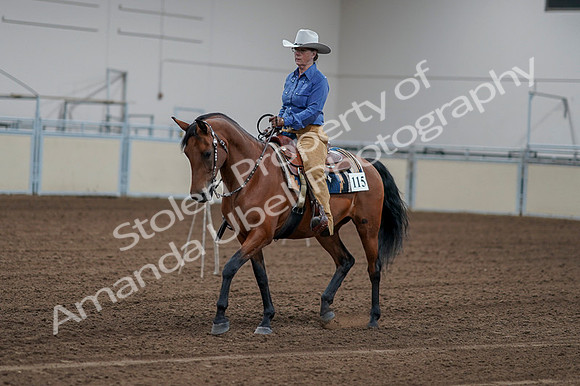 2020 - AB Morgan Horse - Fri, Sept 04 - 00136