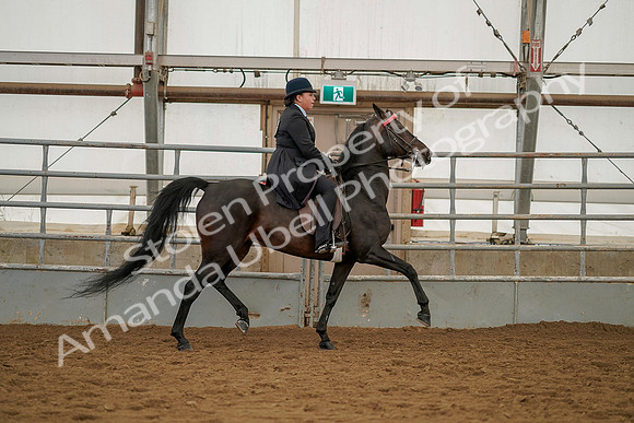 July 20, 2019 - 04538