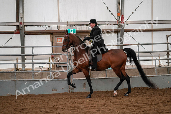 July 19, 2019 - 10289
