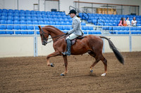 2020 - AB Morgan Horse - Fri, Sept 04 - 01474