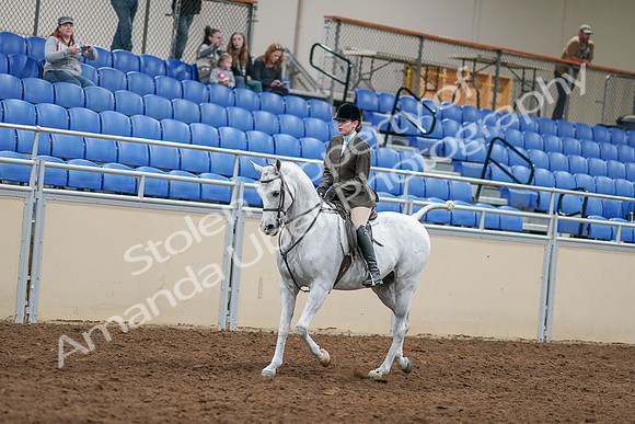 2020 - AB Morgan Horse - Sat, Sept 05 - 14429