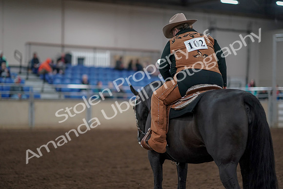 2019 Morgan Horse Show - Aug 31, 2019 - 06240