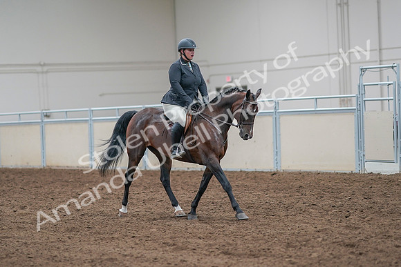 2020 - AB Morgan Horse - Sat, Sept 05 - 09347