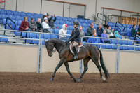 2020 - AB Morgan Horse - Sun, Sept 06 - 00886