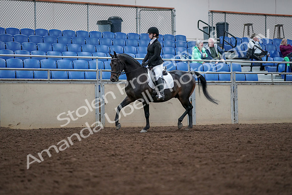 2019 Morgan Horse Show - Aug 30, 2019 - 18287